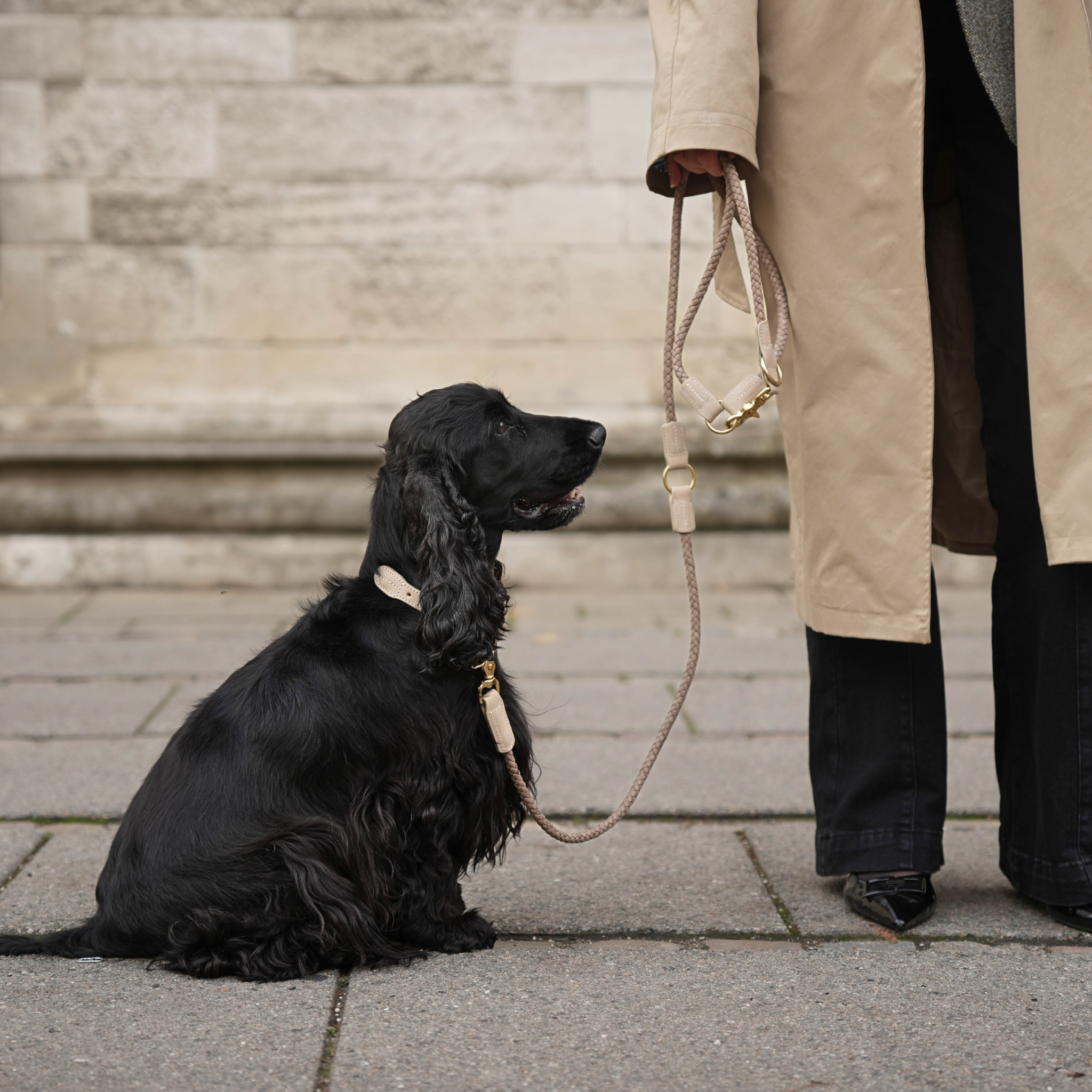 Pleciona obroża dla psa Kaia | Taupe