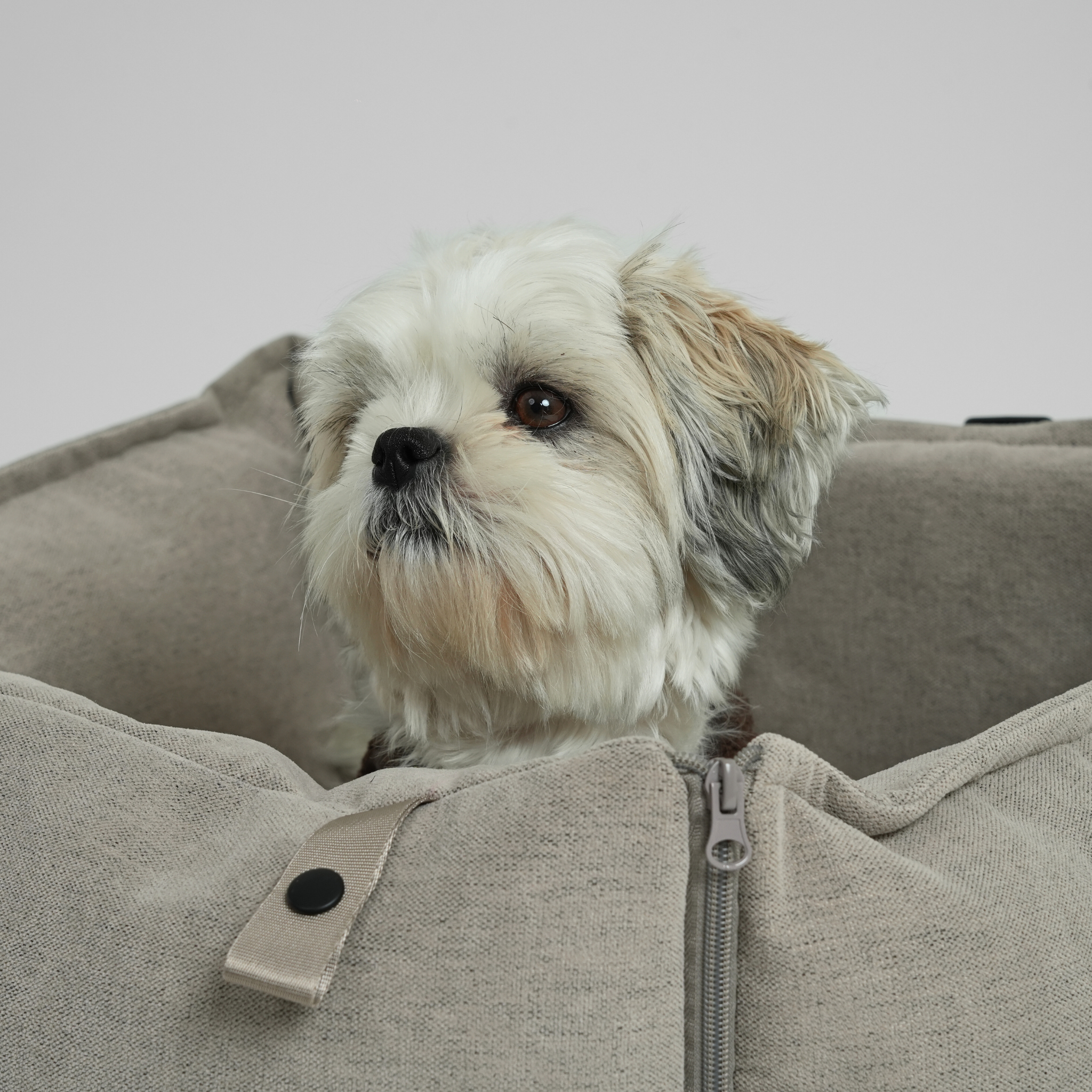 Fotelik samochodowy 2 w 1 Fenja | Wydma