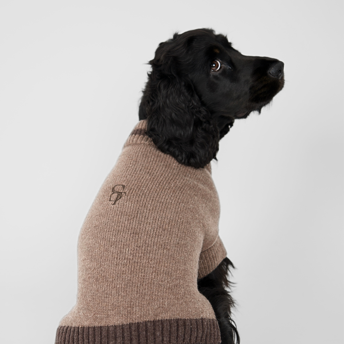 Sweter dla psa Ellen | Taupe/Espresso