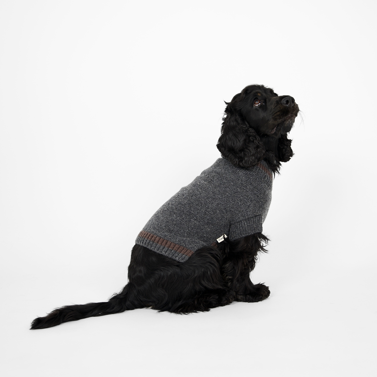Ellen Dog Sweater | Storm/Espresso