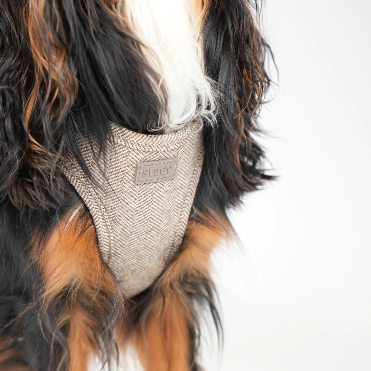 Saga Step-In Dog Harness | Mocca