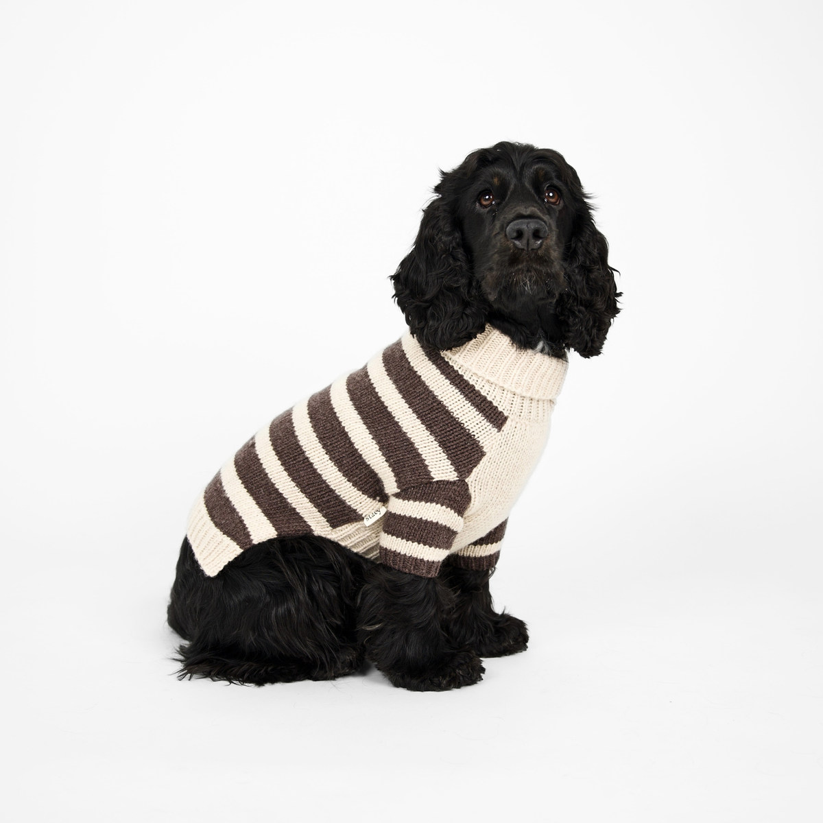 Liva Dog Sweater | Oat/Espresso