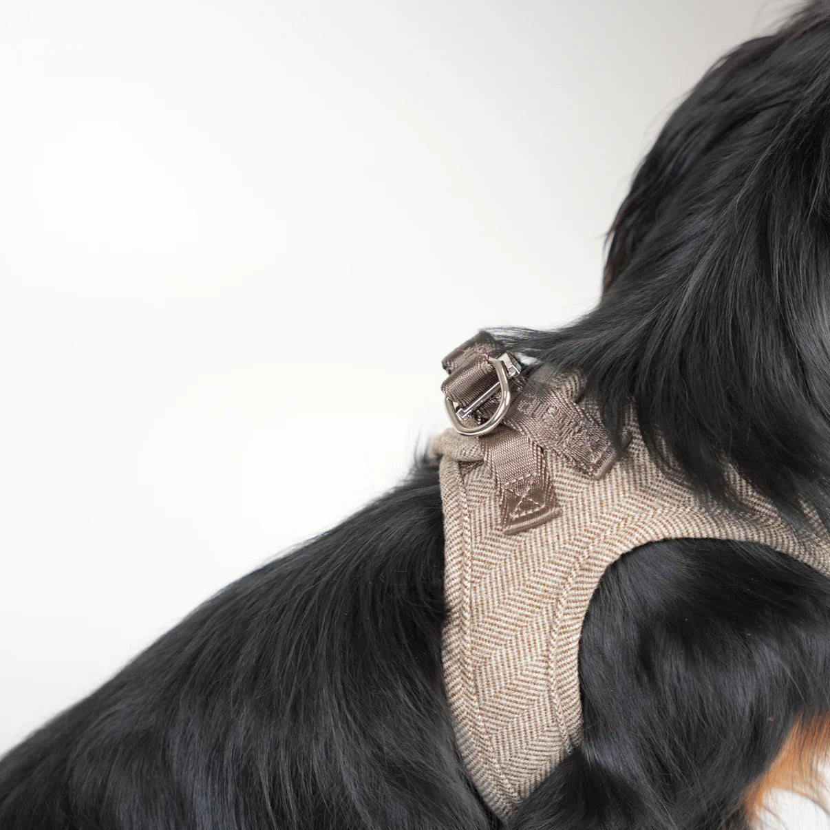 Saga Step-In Dog Harness | Mocca