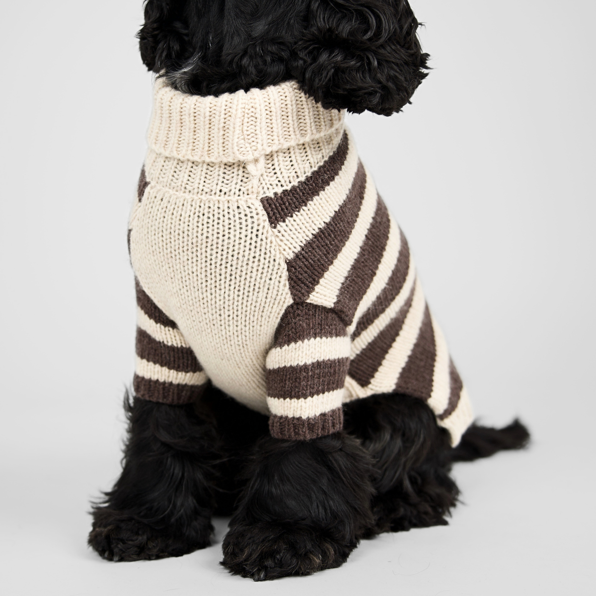 Liva Dog Sweater | Oat/Espresso