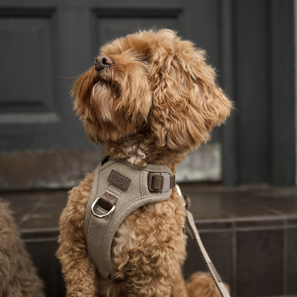 Dlaczego klienci to uwielbiają