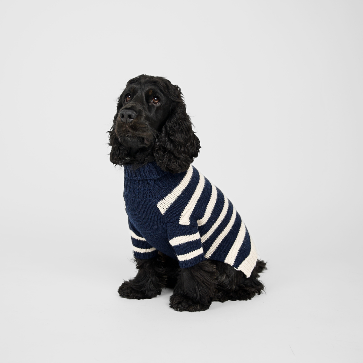 Liva Dog Sweater | Midnight/Oat