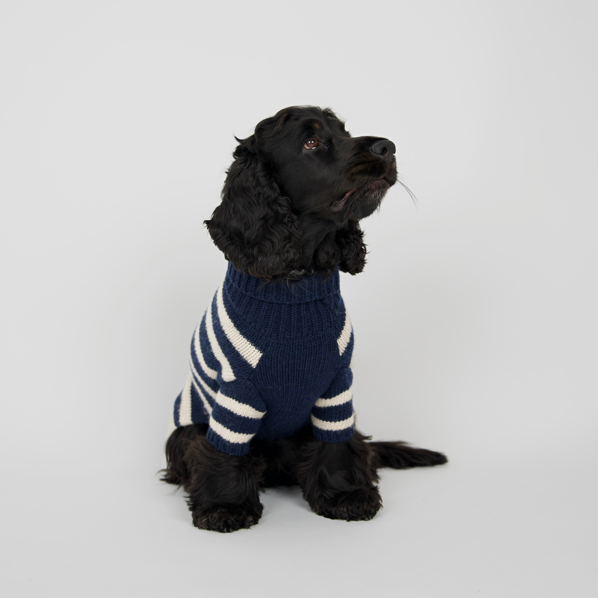 Liva Dog Sweater | Midnight/Oat