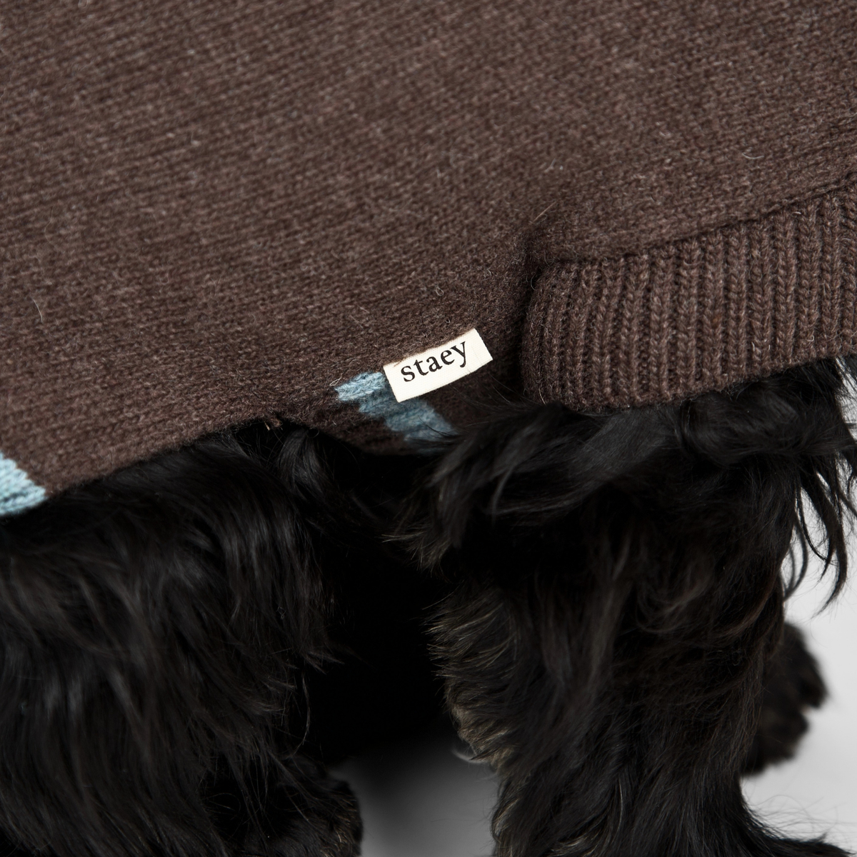 Ellen Dog Sweater | Espresso/Sky Blue