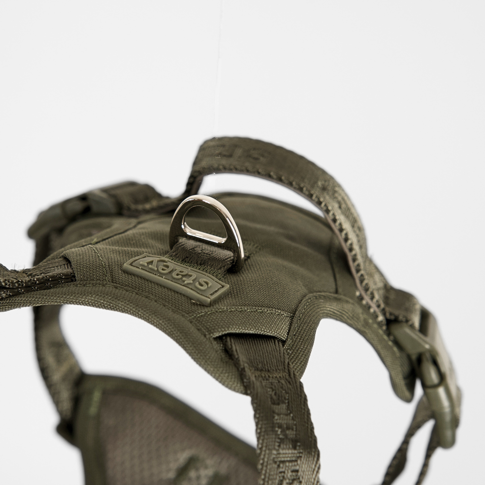Why I designed it