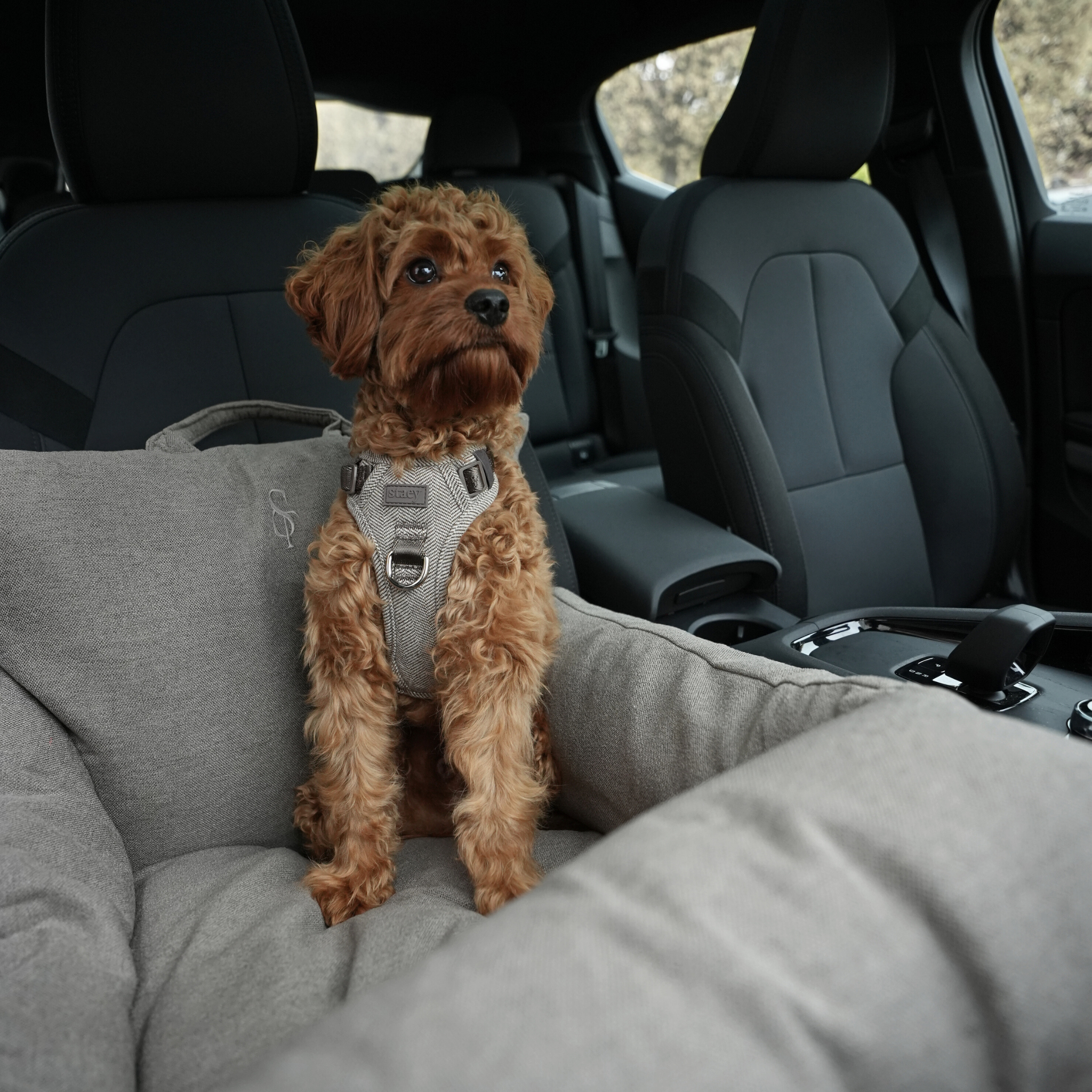 Fotelik samochodowy Lara | Taupe 2.0