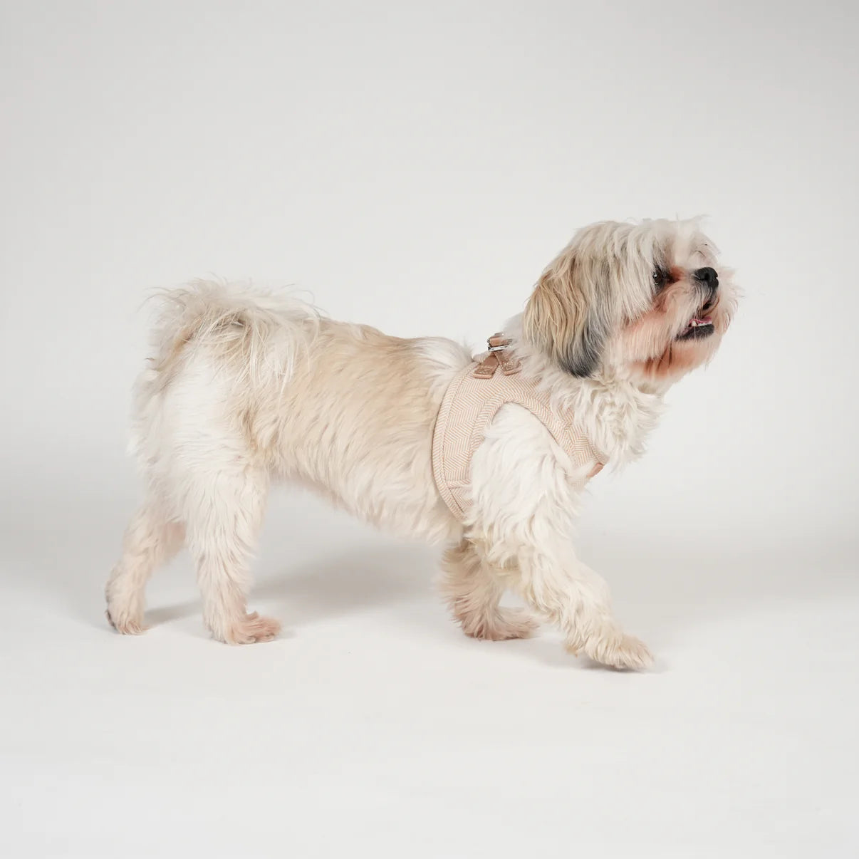 Saga Step-In Dog Harness | Light Rose