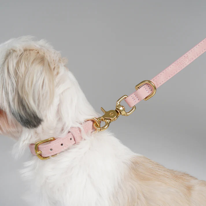 Grace Leather Dog Collar | Dusty Rose