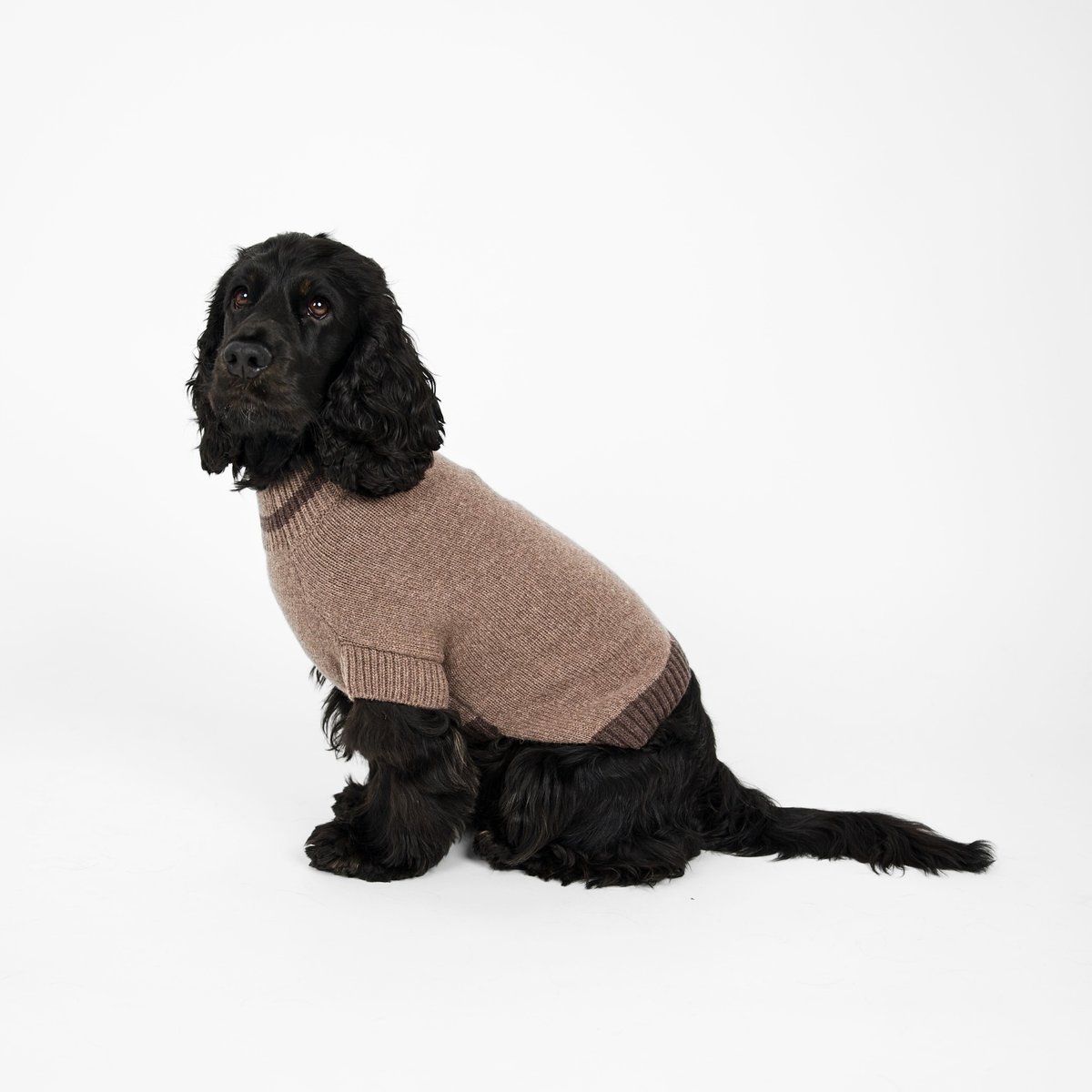 Ellen Dog Sweater | Taupe/Espresso