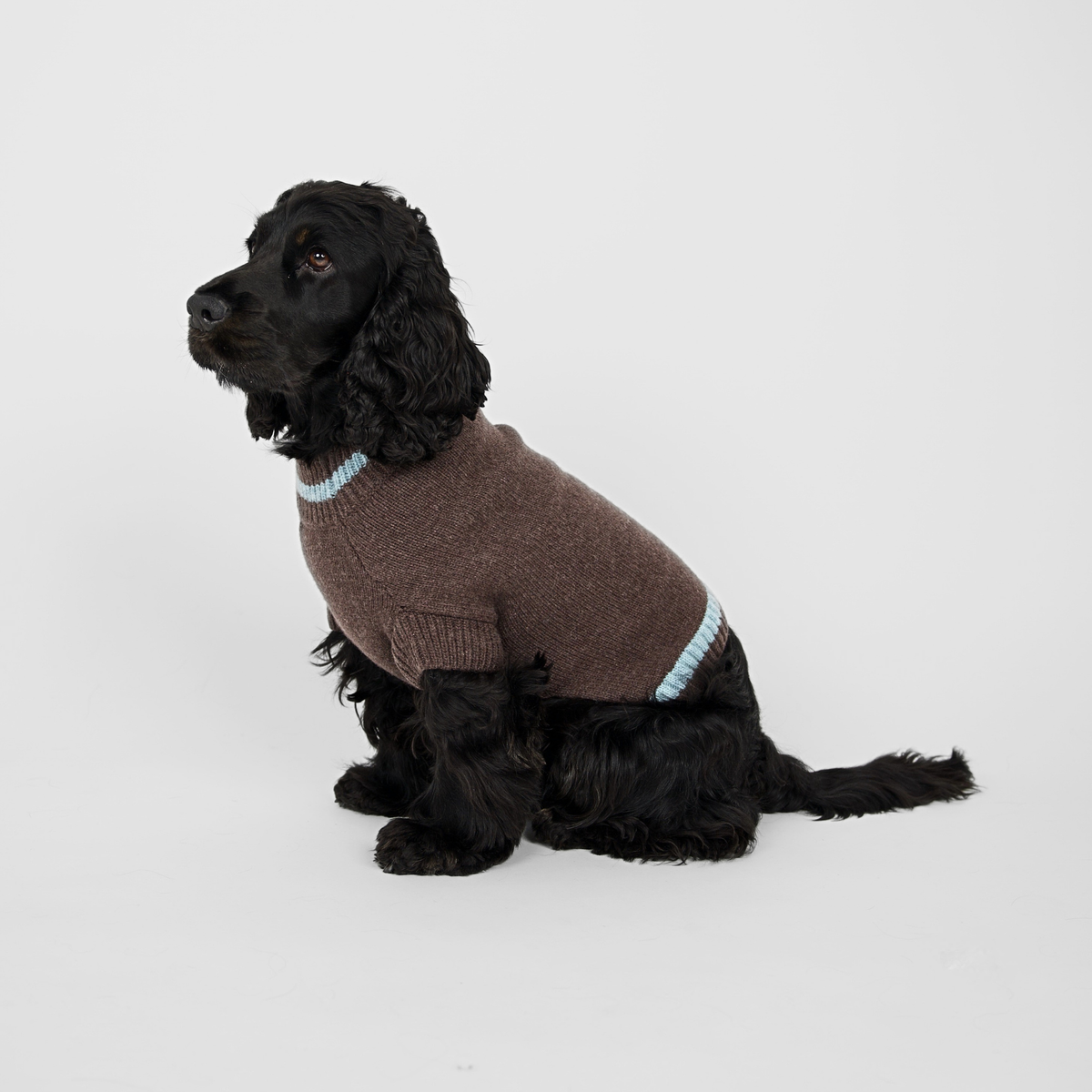 Dog Sweaters