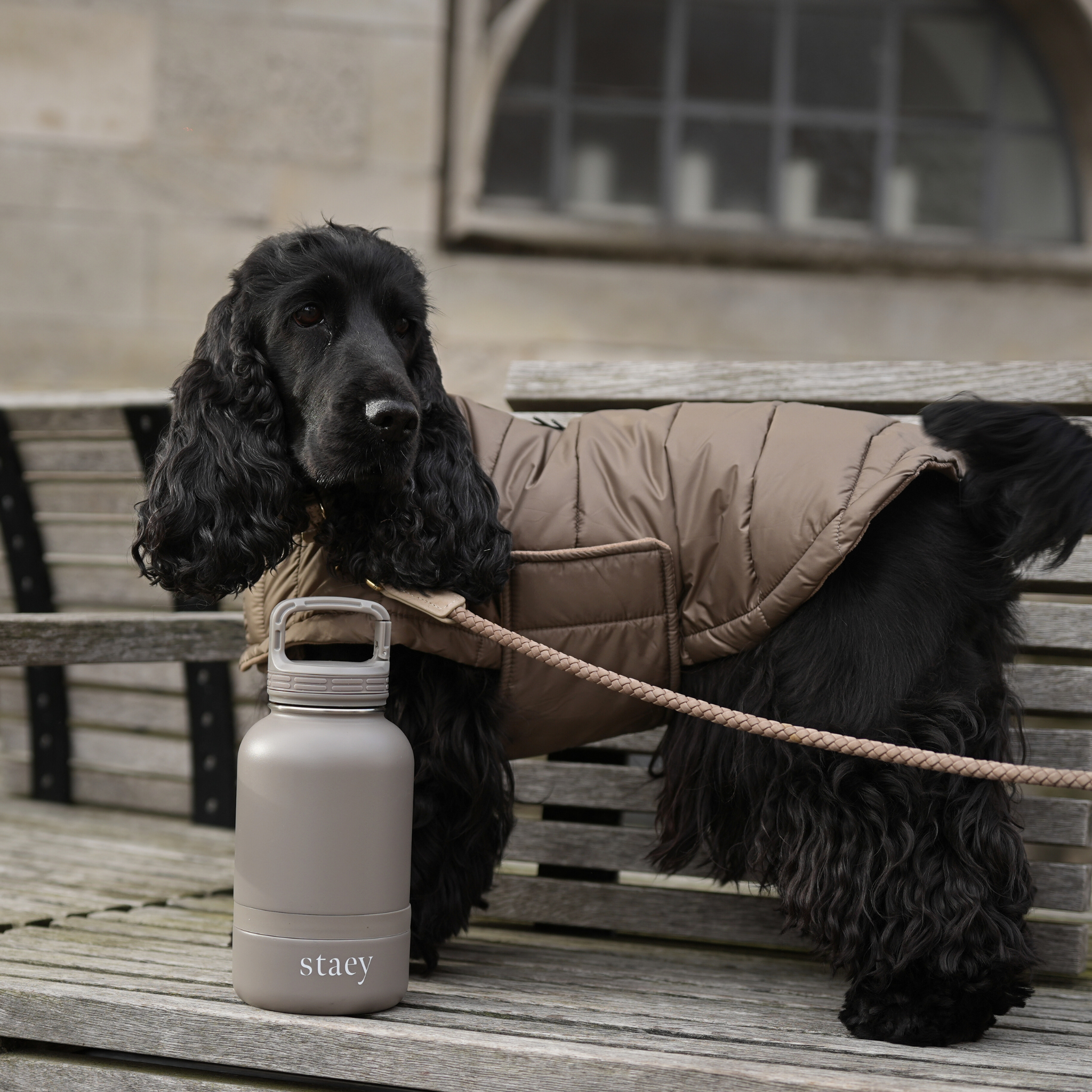 Butelka Noona 2 w 1 z ok. Miska | Stal nierdzewna