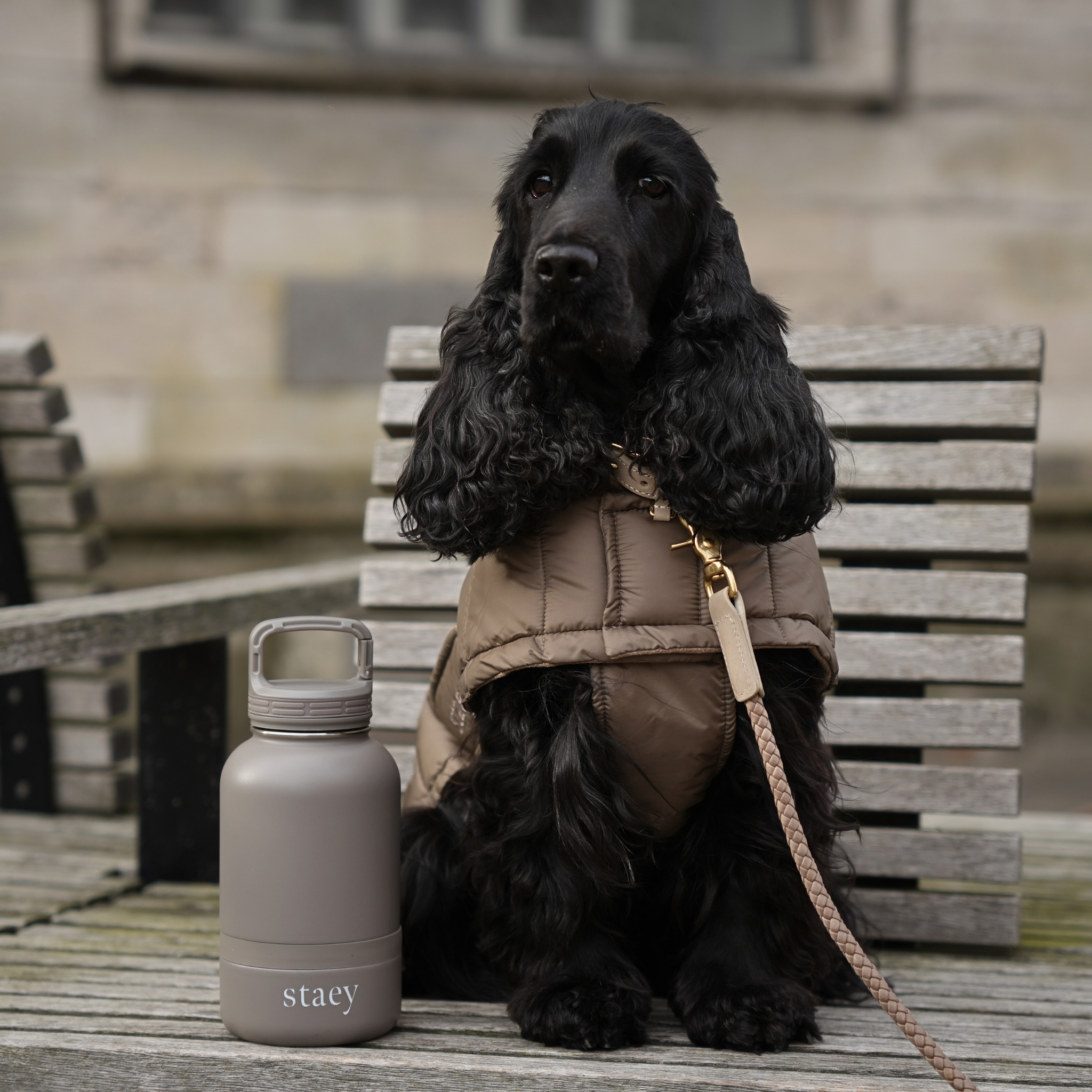 Butelka Noona 2 w 1 z ok. Miska | Stal nierdzewna