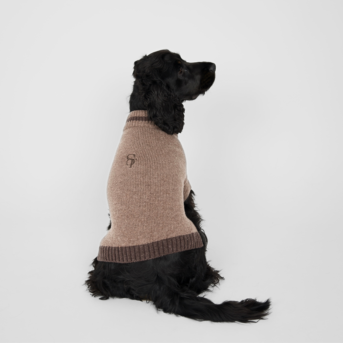 Sweter dla psa Ellen | Taupe/Espresso