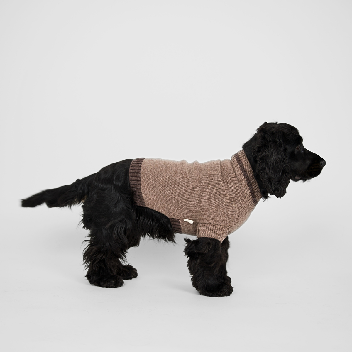 Sweter dla psa Ellen | Taupe/Espresso