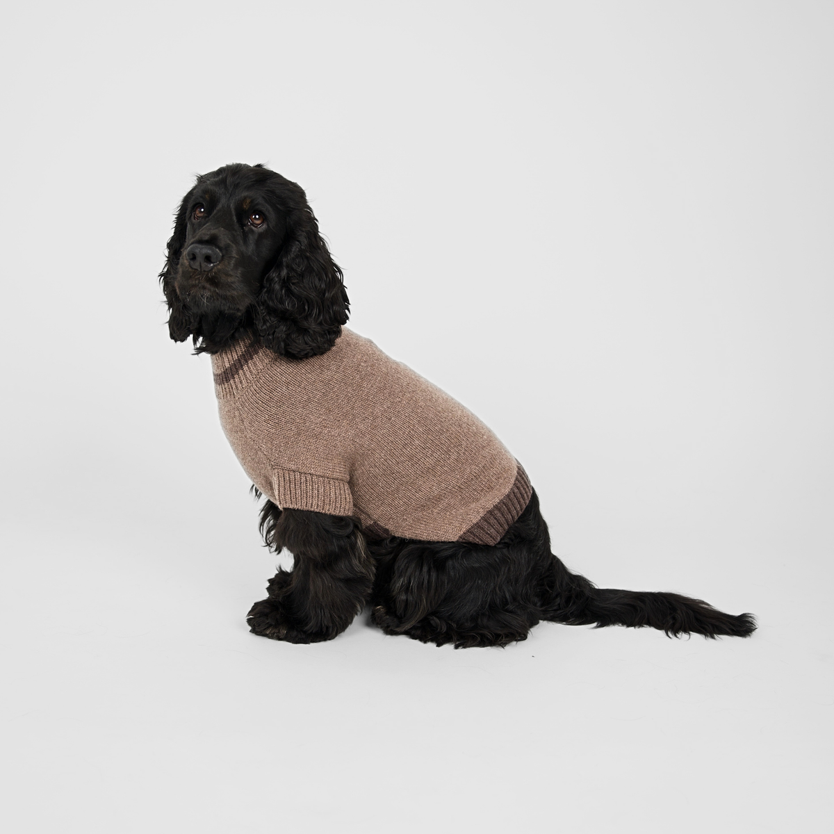 Ellen Dog Sweater | Taupe/Espresso