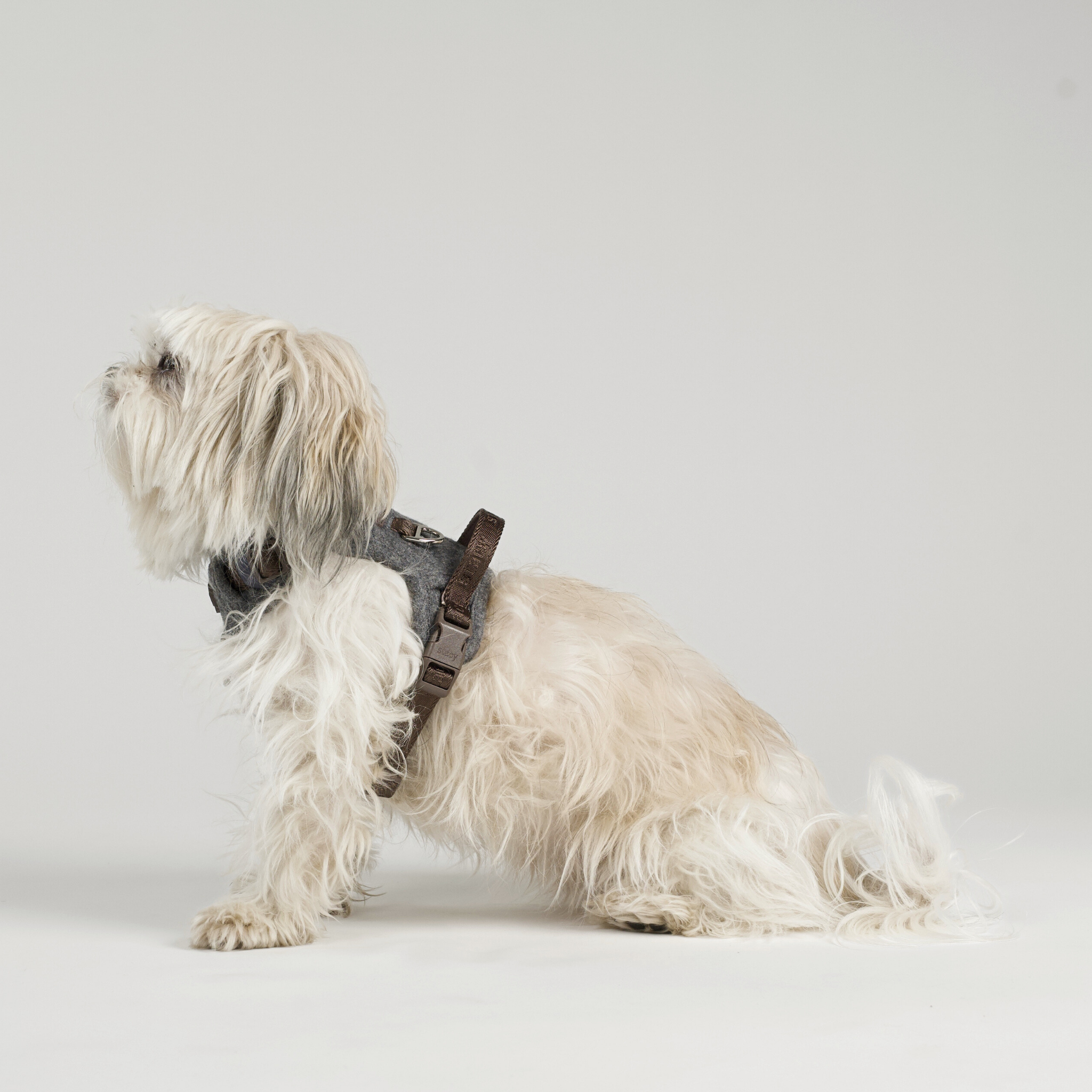 Elma Dog Harness | Stone