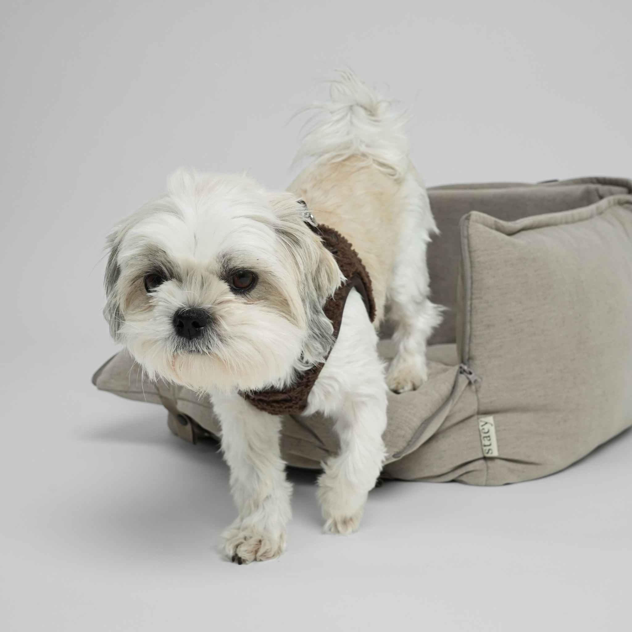 Fotelik samochodowy 2 w 1 Fenja | Wydma