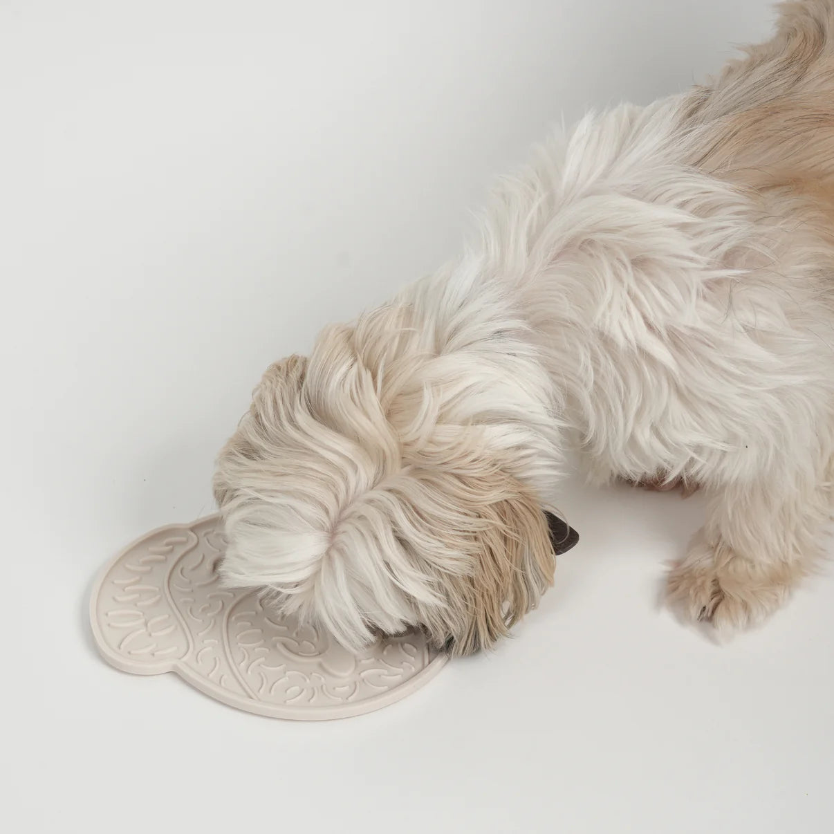 Mata do lizania | Natura