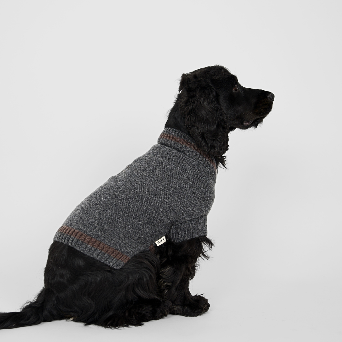Ellen Dog Sweater | Storm/Espresso