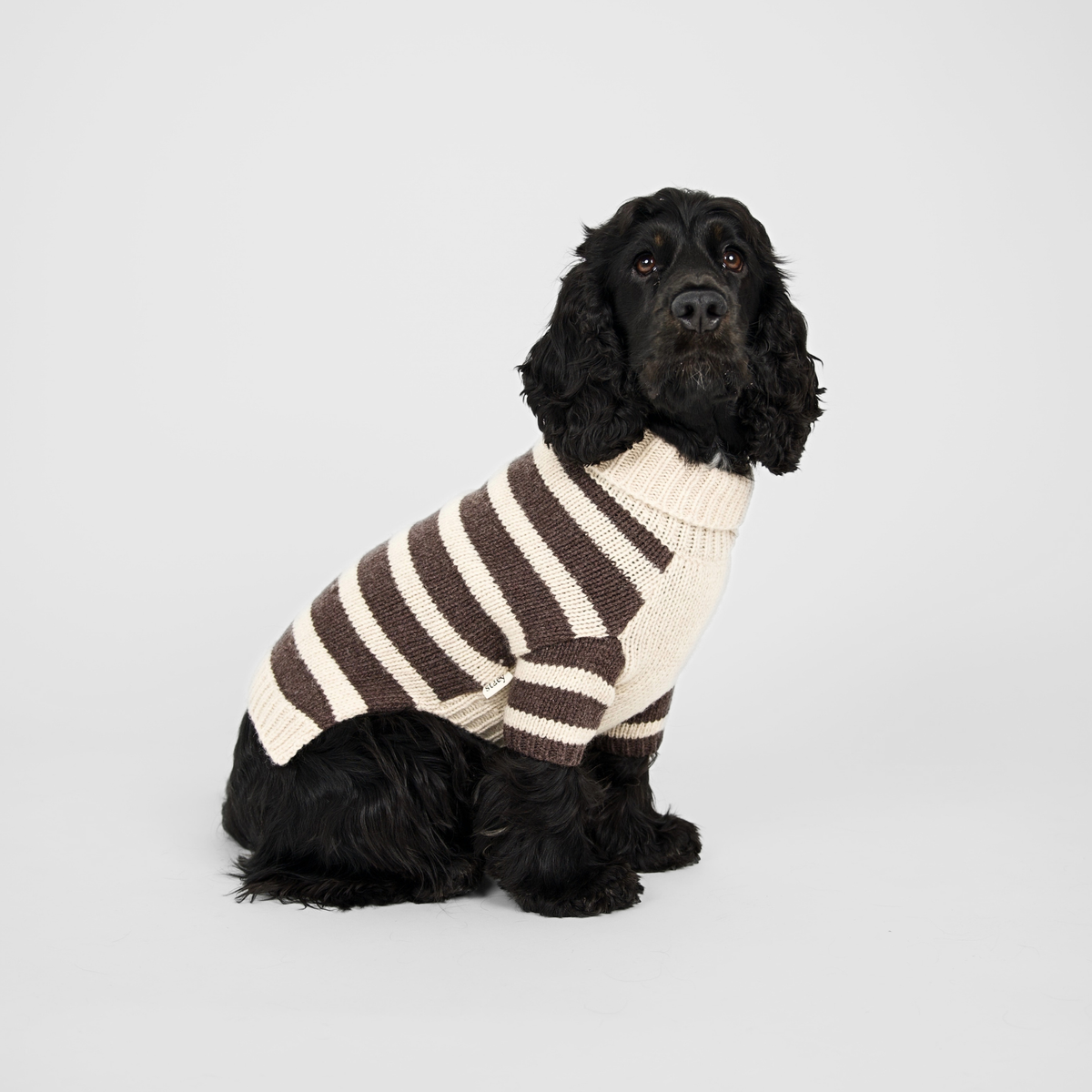 Sweter dla psa Liva | Oat/Espresso
