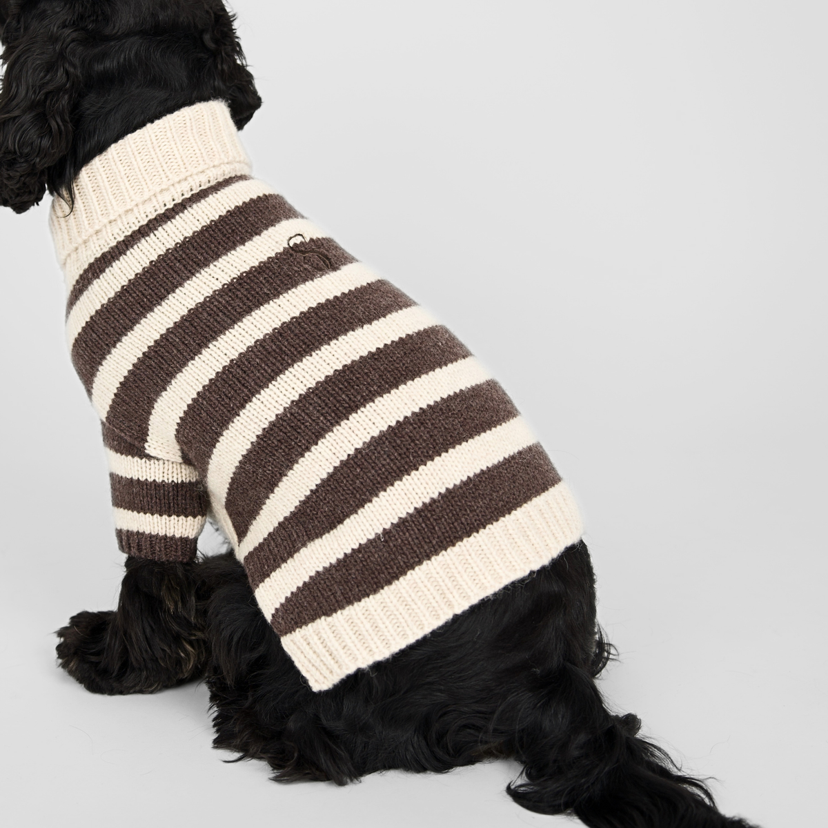 Sweter dla psa Liva | Oat/Espresso