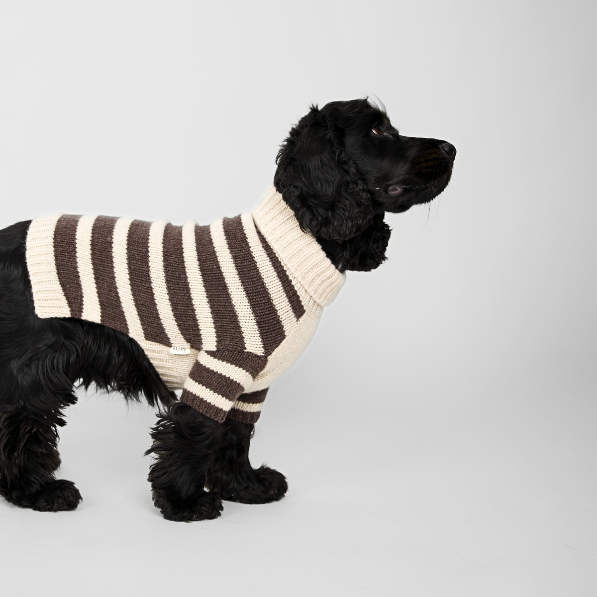 Sweter dla psa Liva | Oat/Espresso