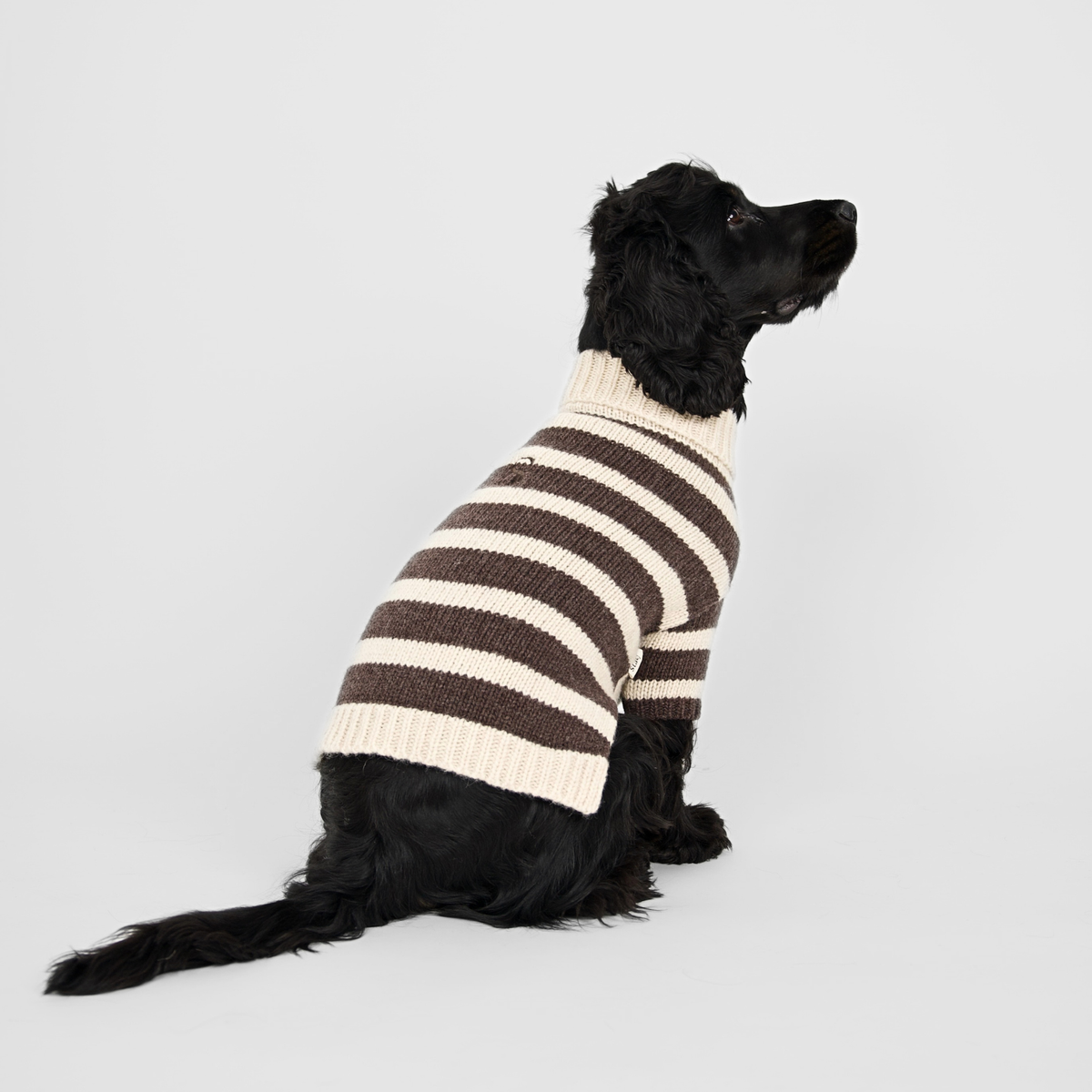 Sweter dla psa Liva | Oat/Espresso