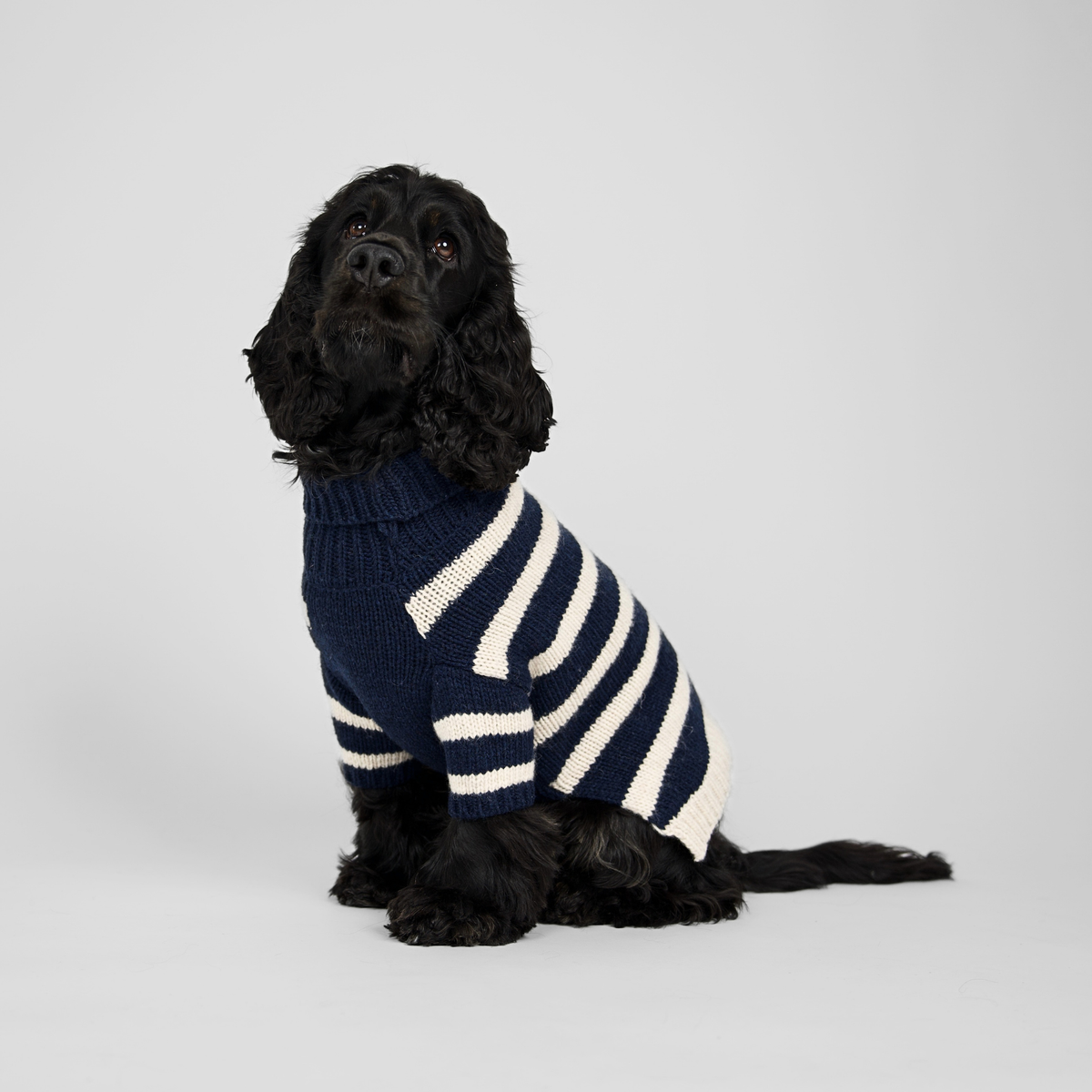 Sweter dla psa Liva | Midnight/Oat