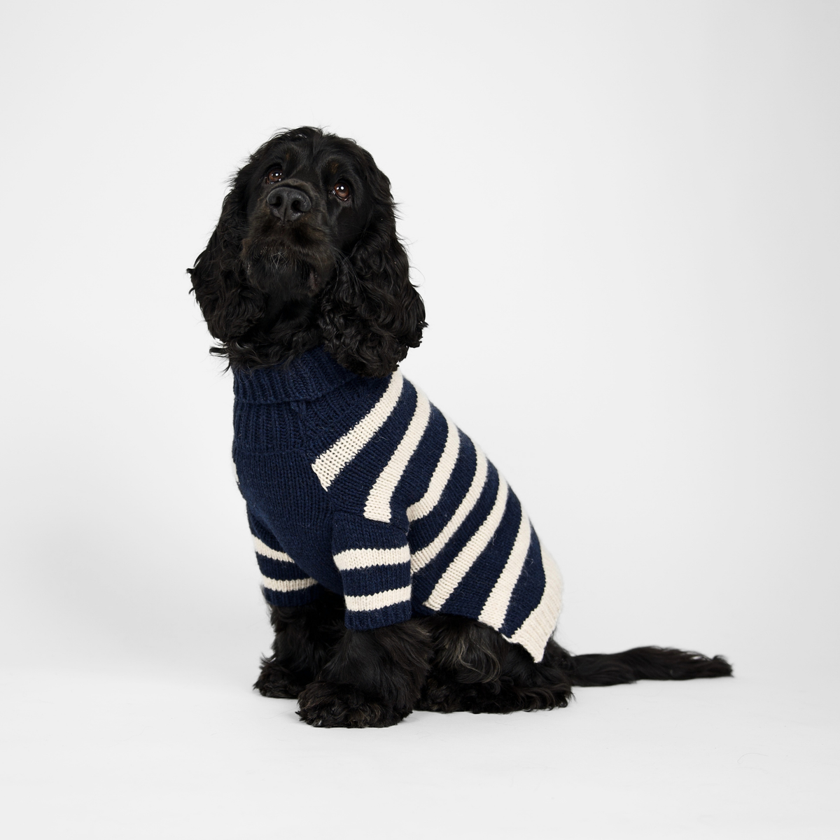 Liva Dog Sweater | Midnight/Oat