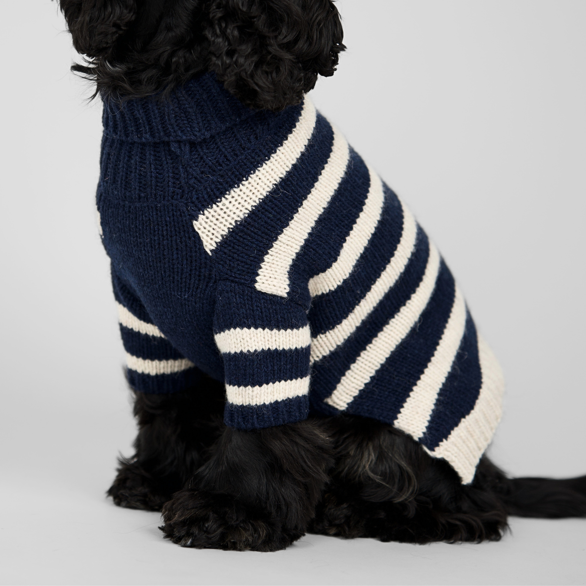Sweter dla psa Liva | Midnight/Oat