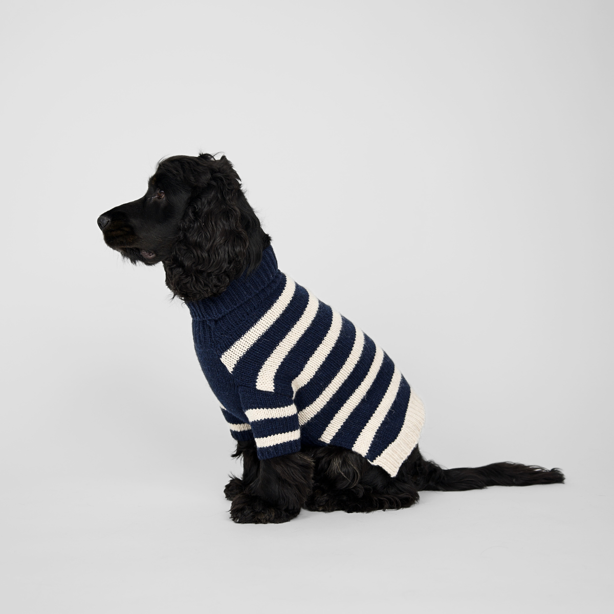 Sweter dla psa Liva | Midnight/Oat