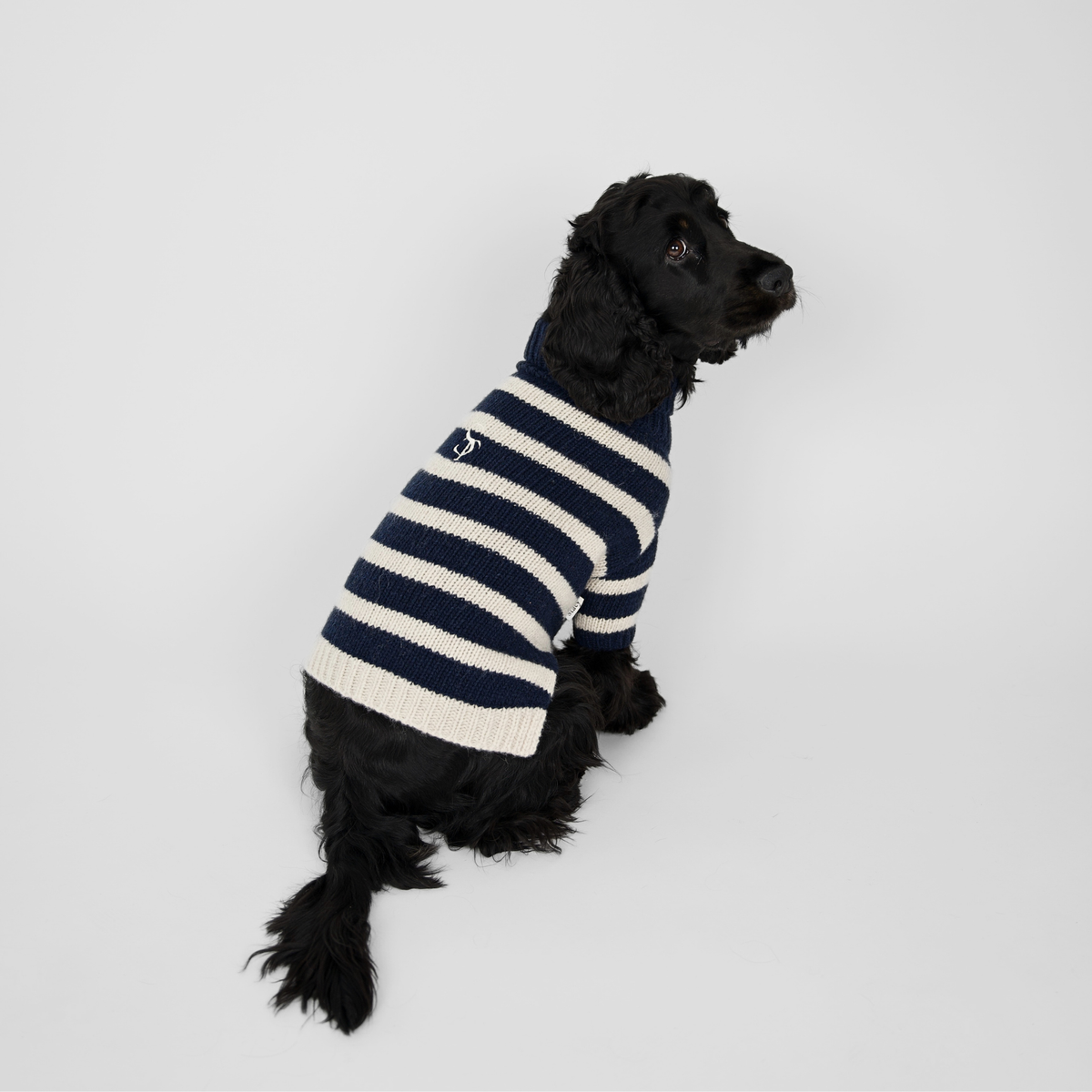Sweter dla psa Liva | Midnight/Oat