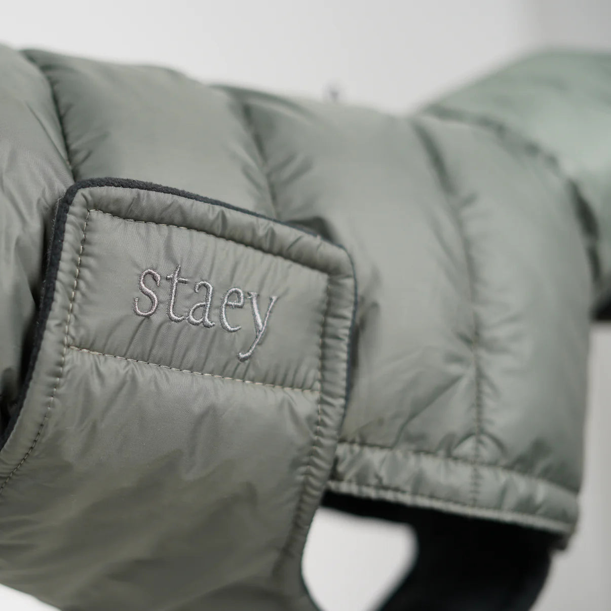 Nora Płaszcz dla psa | Zielony mech