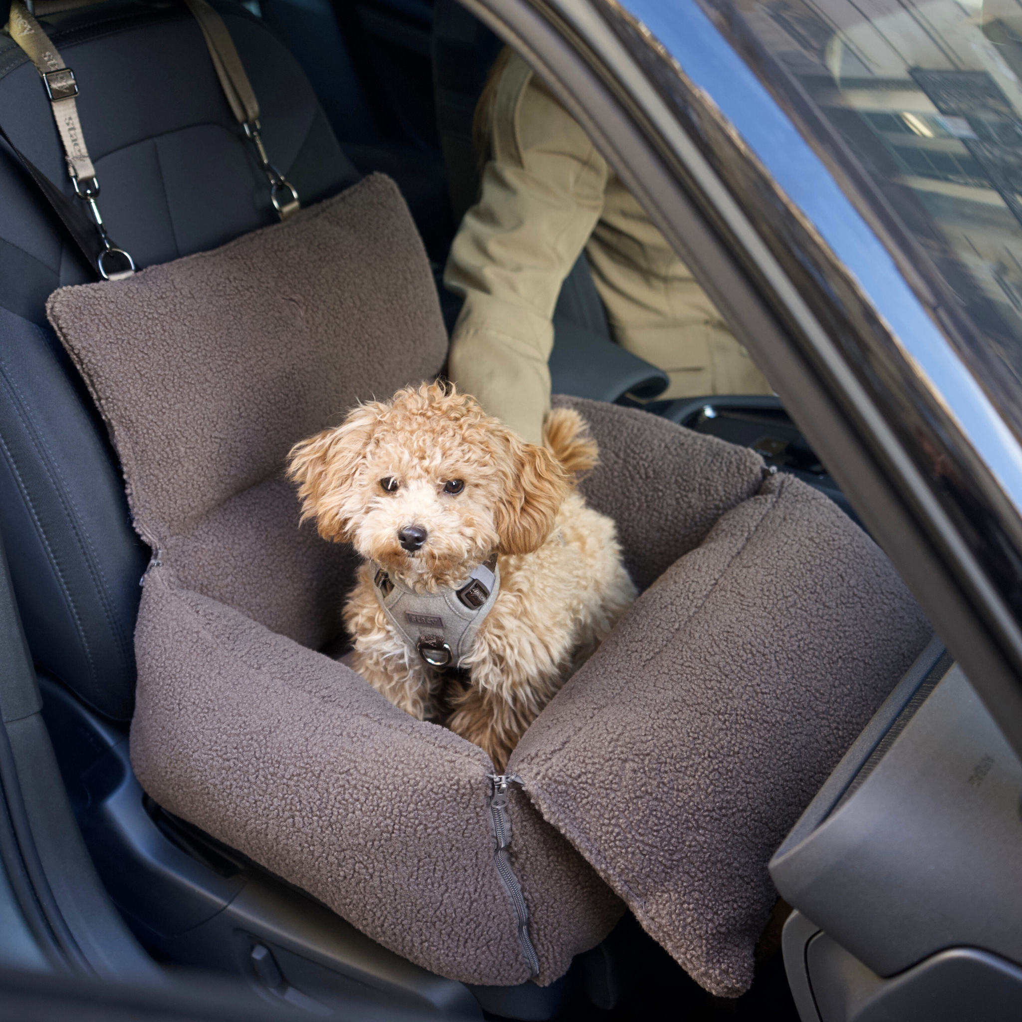 Clara 3-in-1 Car Seat | Limited Edition