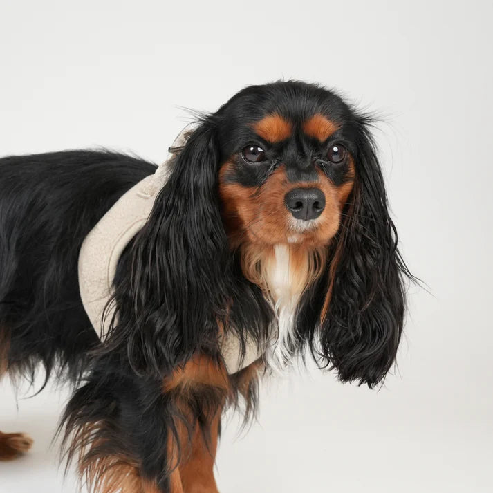 Szelki dla psa Teddy Step-In | Natura