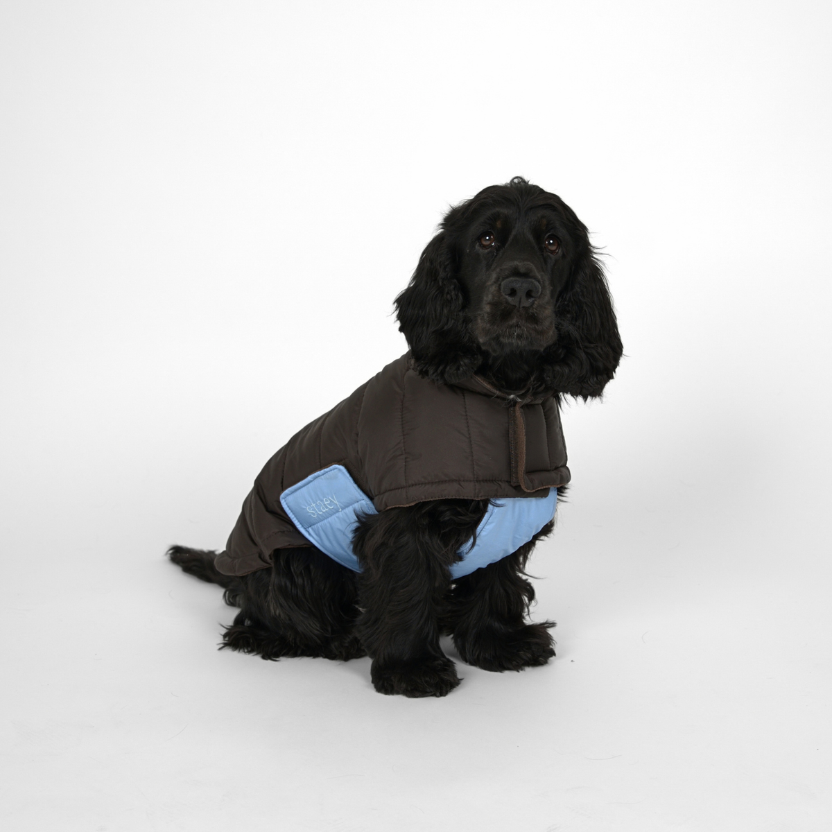 Nora Dog Coat | Espresso/Sky Blue