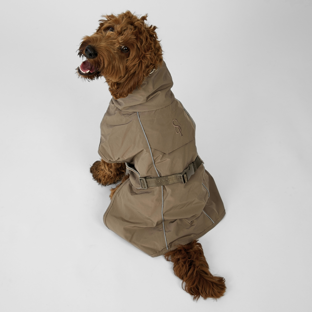 Cockapoo seen from behind in the taupe Clara rain coat