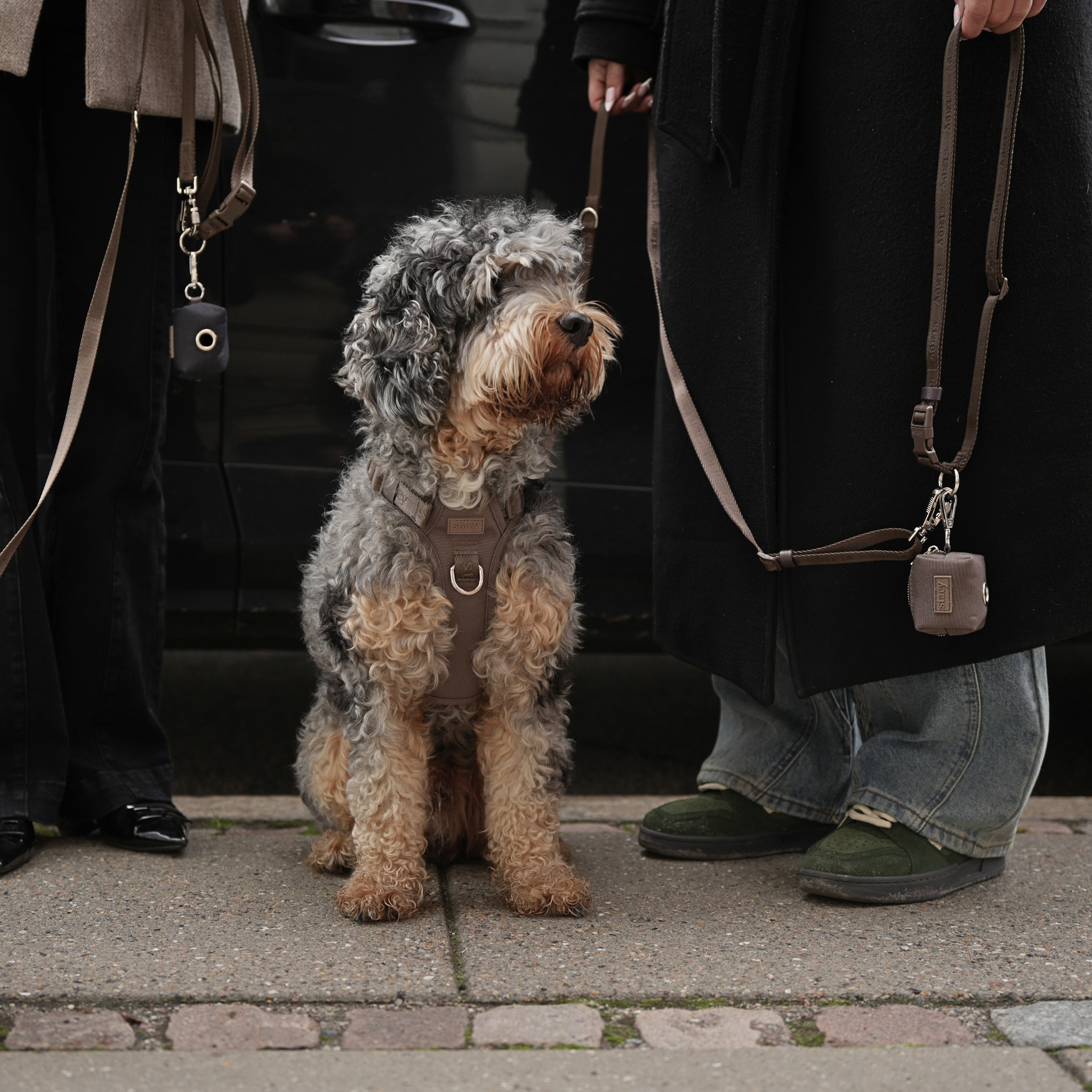Elma Active Szelki dla psa | Taupe