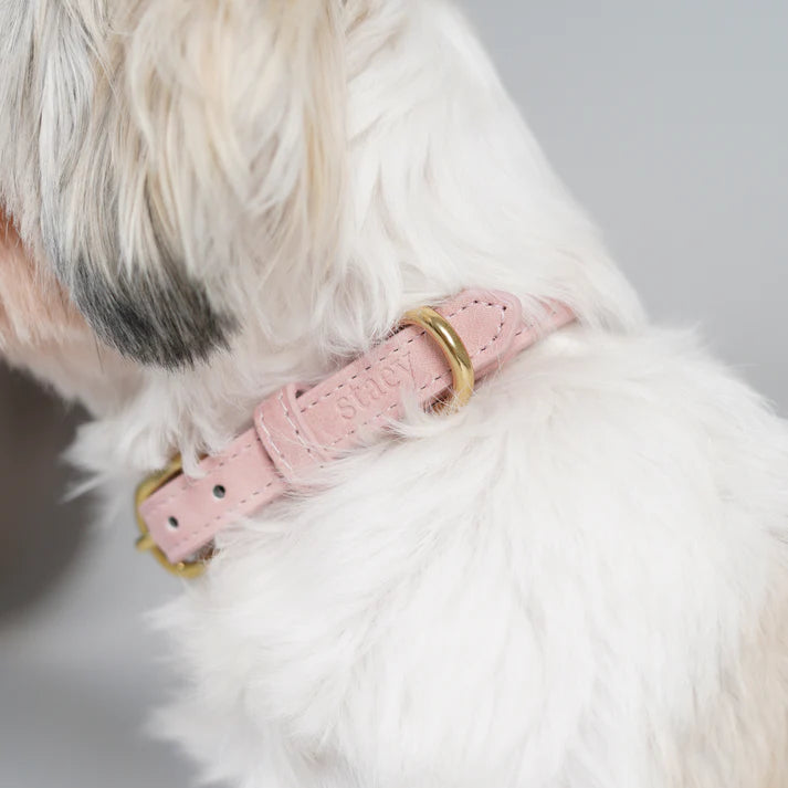 Grace Leather Dog Collar | Dusty Rose