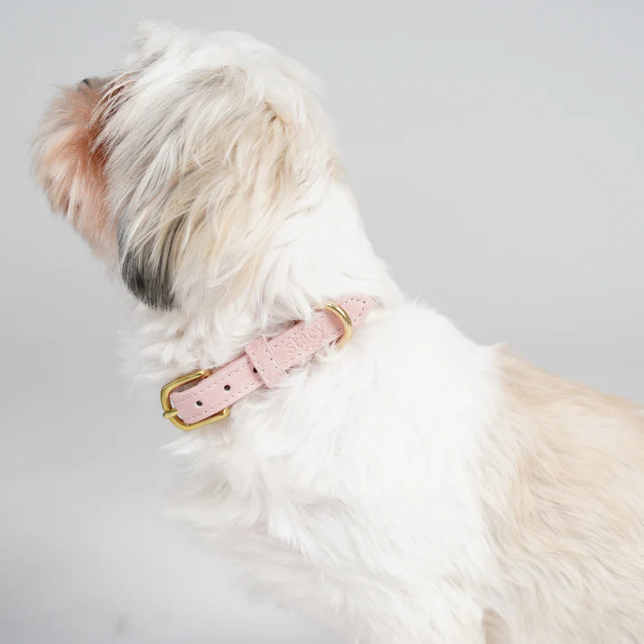 Grace Leather Dog Collar | Dusty Rose