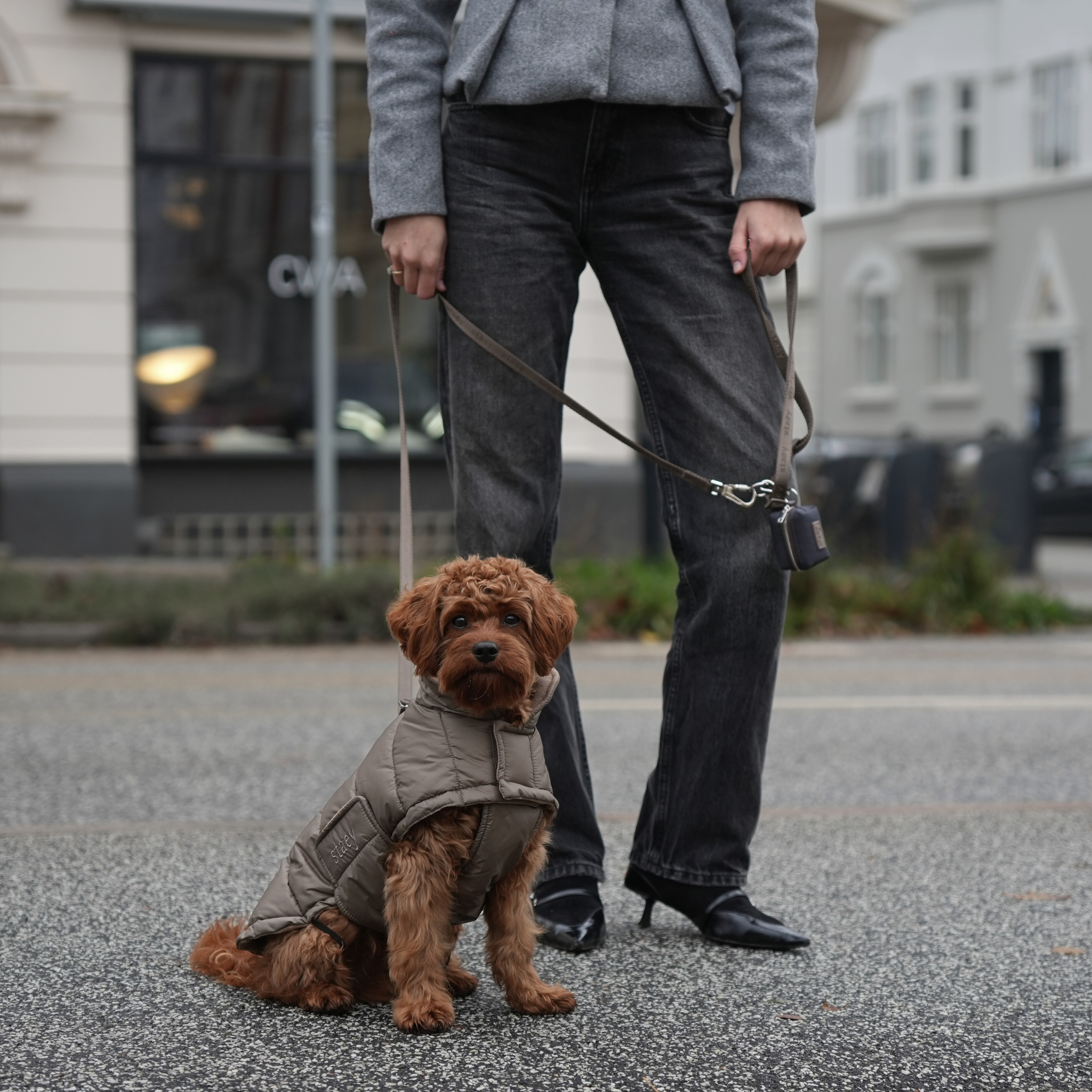 Nora Płaszcz dla psa | Taupe