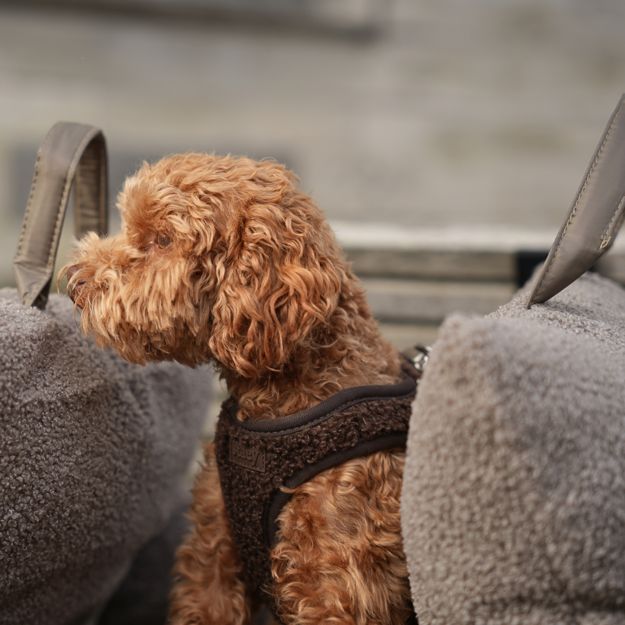 Step-In Szelki dla psa | Espresso