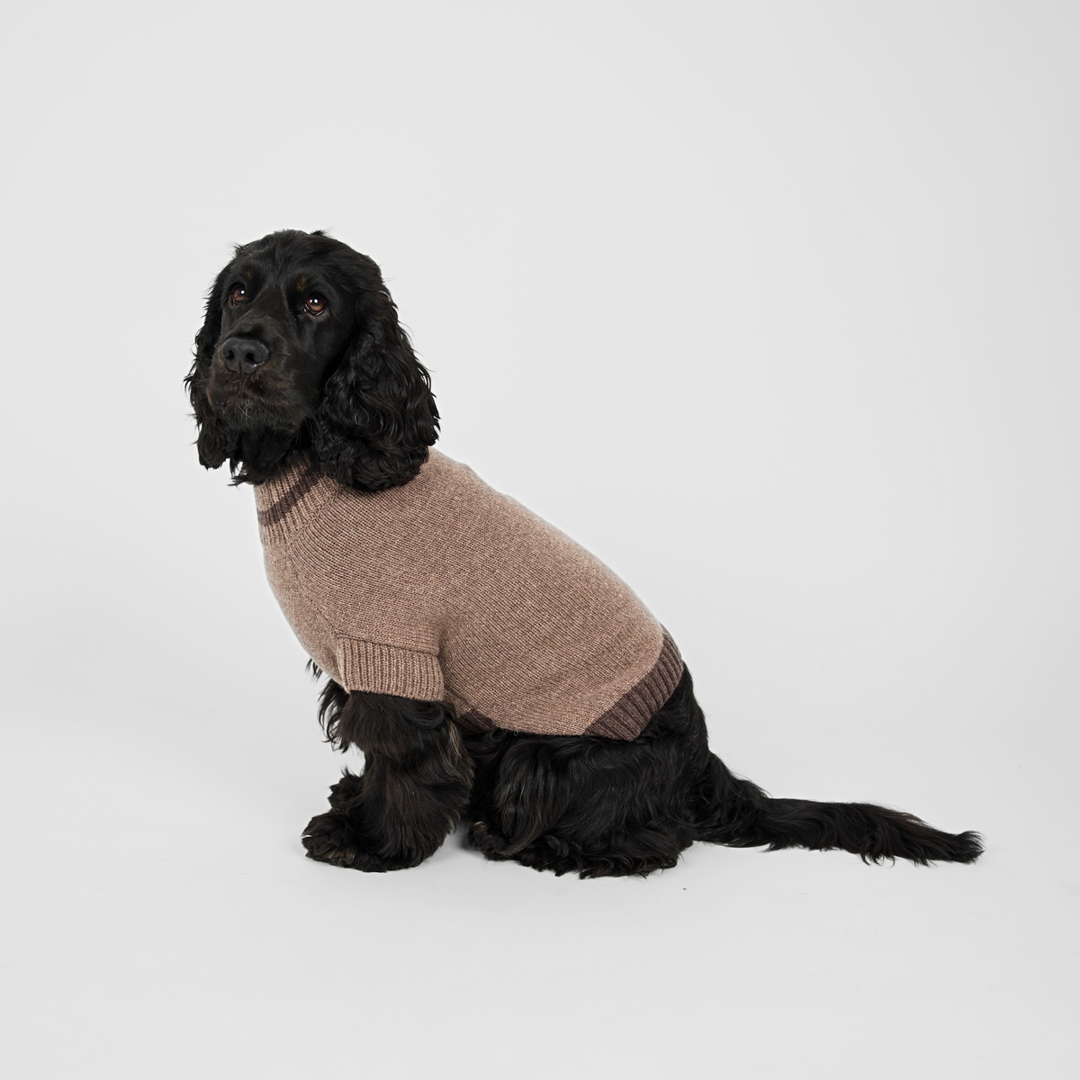 Sweter dla psa Ellen | Taupe/Espresso