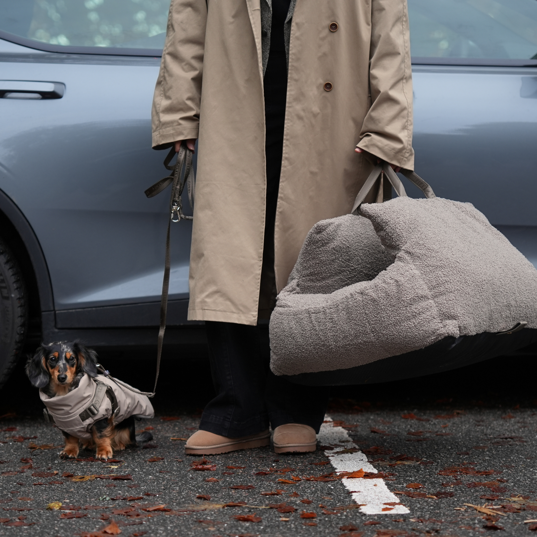 Fotelik samochodowy Lara | Miś 2.0