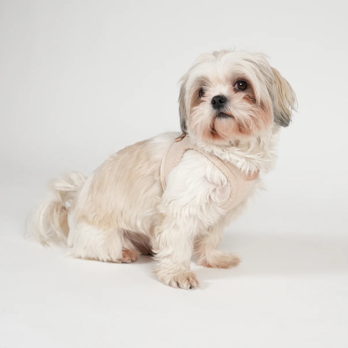 Szelki dla psa Saga Step-In | Lekka Róża